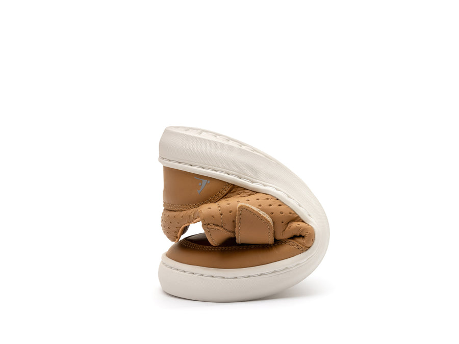 Tip Toey Joey Boy's and Girl's Ollie Casual Shoes - Hay